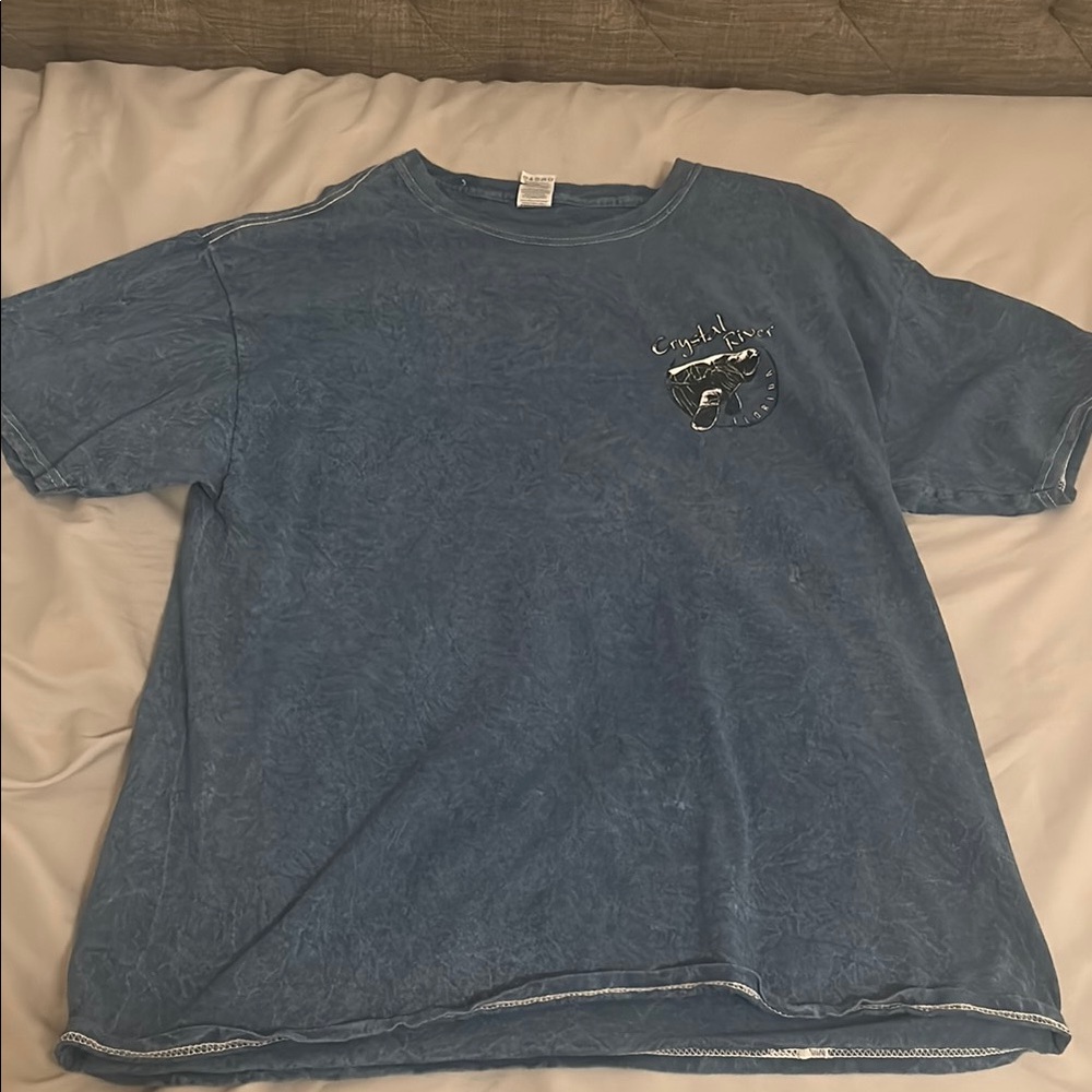 Blue Graphic Shirt